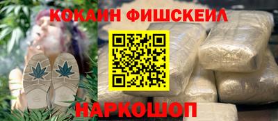 крисы Будённовск