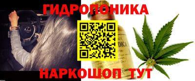 эйфоретик Бугуруслан