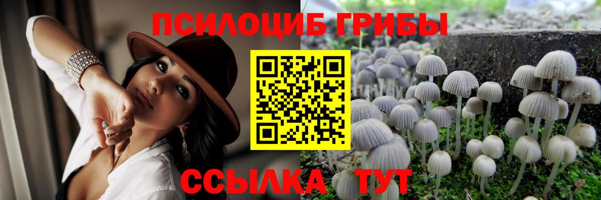 Псилоцибиновые грибы мухоморы  Псилоцибиновые грибы Psilocybine cubensis  Вход с VPN  Сухой Лог 